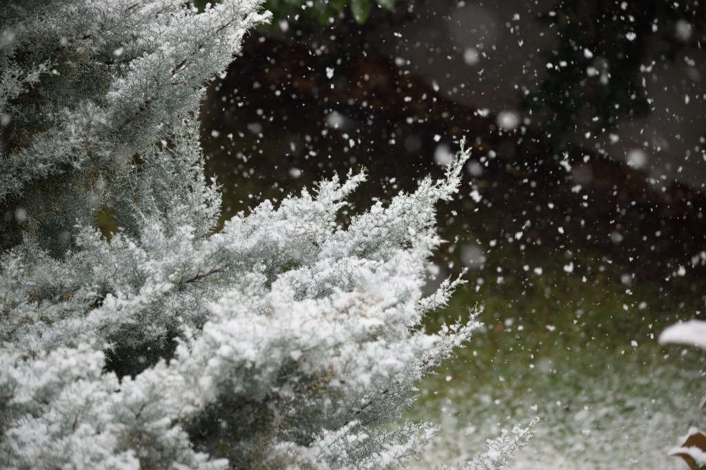 eleonora giurgevich fotografia