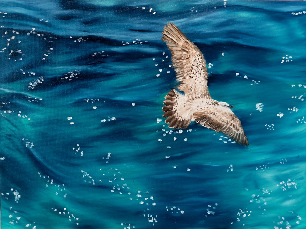 gabbiano Jonathan Livingston