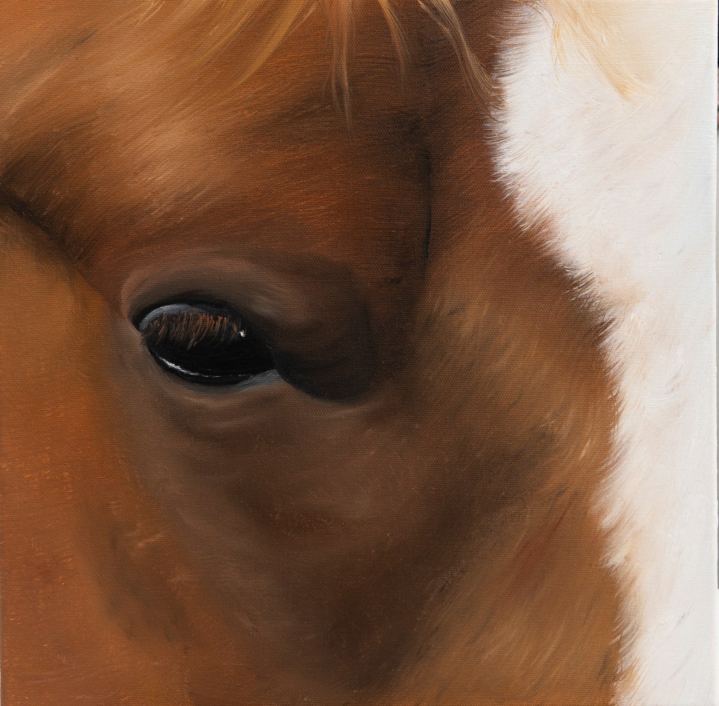 spirito libero eleonora giurgevich